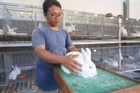 Menuju Bisnis Kelinci Dengan Peternakan Berkelanjutan